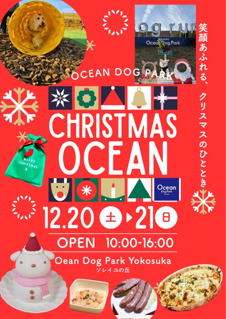 笑顔あふれる、クリスマスのひととき
OCEAN DOG PARK CHRISTMAS OCEAN
12.20(土)→21(日)
OPEN 10:00-16:00